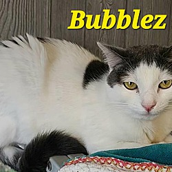 Thumbnail photo of Bubblez #1