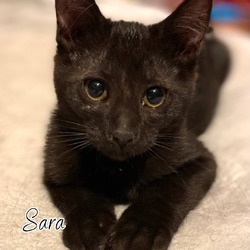 Thumbnail photo of Sara #1