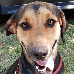 Photo of Sweet Bella