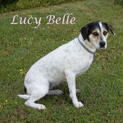 Thumbnail photo of Lucy Belle D24-099 #3