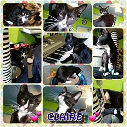 Thumbnail photo of Claire #2