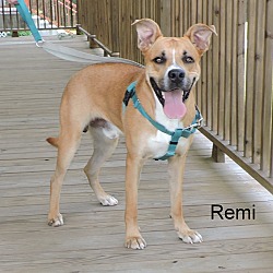 Thumbnail photo of Remi #2