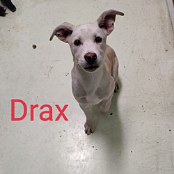 Photo of Drax