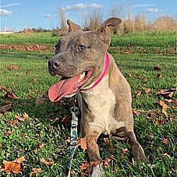 Photo of Arizona   in NJ!!!  LOWER FEE!!