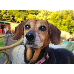Photo of BELLA