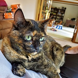 Photo of Eva