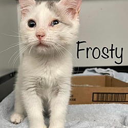 Photo of Frosty