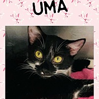 Photo of Uma