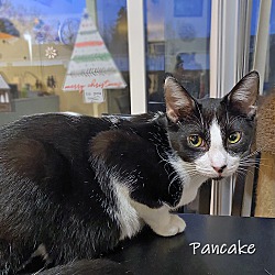Thumbnail photo of Pancake #4