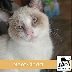 Photo of Cinda