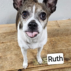 Thumbnail photo of Ruth #1