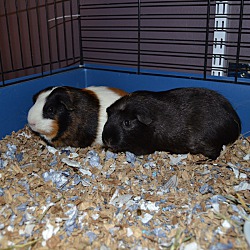 Photo of Thelma & Louise