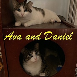Photo of Ava and Daniel: Courtesy Post