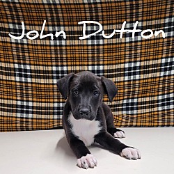 Photo of John Dutton