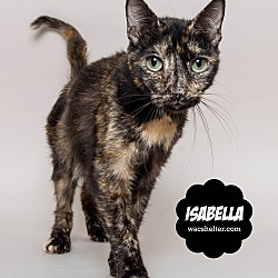 Thumbnail photo of Isabella #1