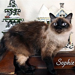 Photo of Sophie