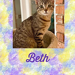 Photo of Beth