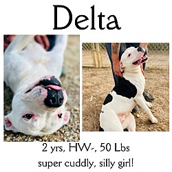 Thumbnail photo of Delta #1