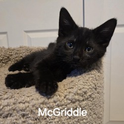 Photo of McGriddle