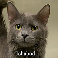 Photo of Ichabod