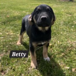 Thumbnail photo of Betty #1