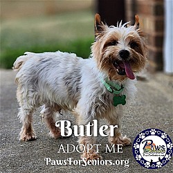 Thumbnail photo of Butler #3