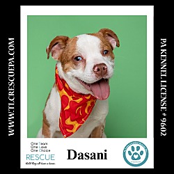 Thumbnail photo of Dasani 090724 #4