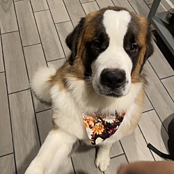 Photo of Bagels 