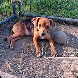 Photo of Lovey