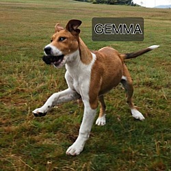 Thumbnail photo of Gemma #3