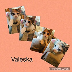 Photo of Valeska