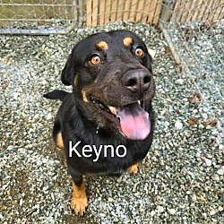 Photo of KEYNO