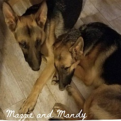Thumbnail photo of Maggie and Mandy #2