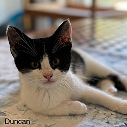 Thumbnail photo of Duncan #1