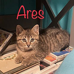 Thumbnail photo of Ares #1