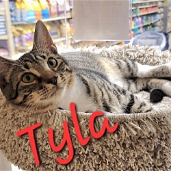 Thumbnail photo of Tyla #3