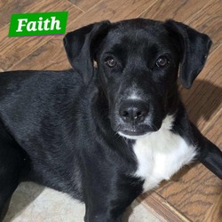 Photo of Faith