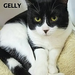 Thumbnail photo of Gelly-laid back! #4