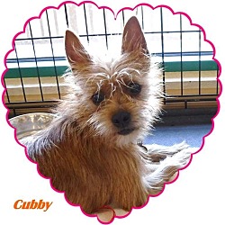 Thumbnail photo of Cubby #1
