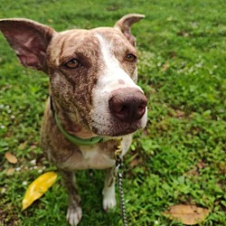 Thumbnail photo of Lucy #1
