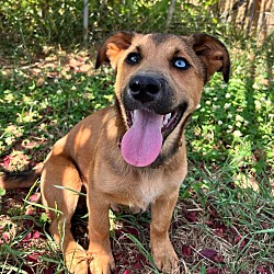 Photo of Charlie