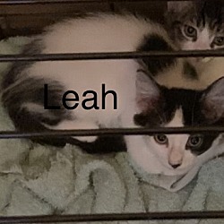 Photo of Leah