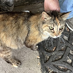 Photo of Momma