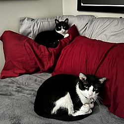 Photo of Appa and MoMo