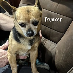 Photo of Trucker