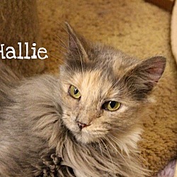 Thumbnail photo of Hallie #1