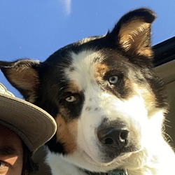 Photo of Bubby