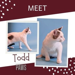 Thumbnail photo of Todd #1