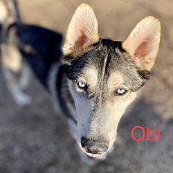 Photo of Obi