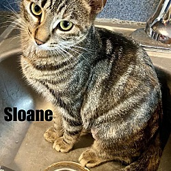 Photo of Sloane